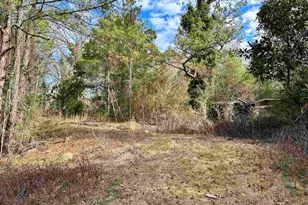 450 N Century Blvd, McDavid, FL 32568 - Photo 1