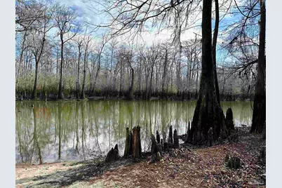 450 N Century Blvd, McDavid, FL 32568 - Photo 11