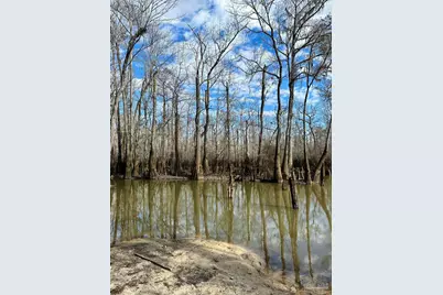 450 N Century Blvd, McDavid, FL 32568 - Photo 9