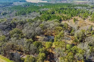 10841 Luker Wy, Jay, FL 32565 - Photo 33