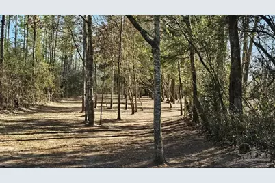 Salter Rd, Pace, FL 32571 - Photo 11