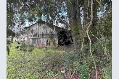 3770 Hwy 182, Jay, FL 32565 - Photo 7