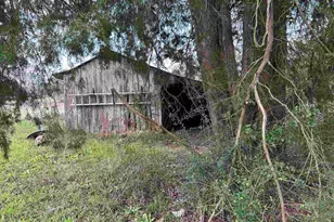 3770 Hwy 182, Jay, FL 32565 - Photo 7