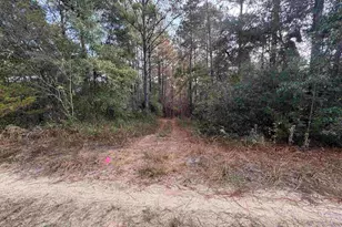 0 Ryan Rd, Crestview, FL 32539 - Photo 1