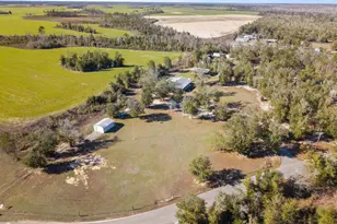 7020 SW Capt Lynn Rd, Kinard, FL 32449 - Photo 55