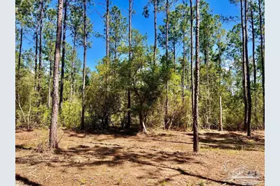 Lot 75 Naturewalk Dr, Jay, FL 32565 - Photo 3