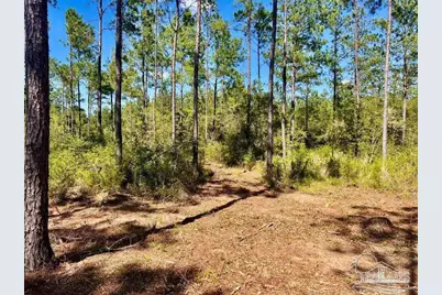 Lot 75 Naturewalk Dr, Jay, FL 32565 - Photo 5