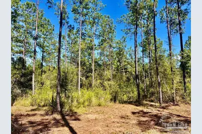 Lot 75 Naturewalk Dr, Jay, FL 32565 - Photo 7