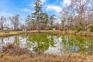 1002 Daffin Rd, Molino, FL 32577 - Photo 5