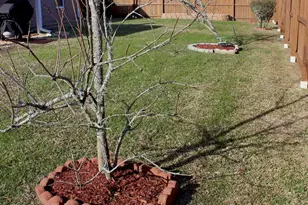 10889 Country Ostrich Dr, Pensacola, FL 32534 - Photo 43