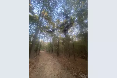 4 Acres Hwy 4, Jay, FL 32565 - Photo 5