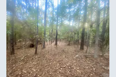 4 Acres Hwy 4, Jay, FL 32565 - Photo 7