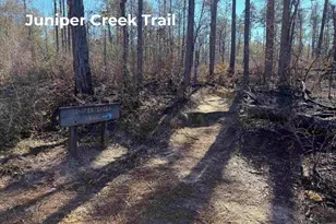 9866 Red Rock Rd, Milton, FL 32583 - Photo 39