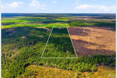 1828 Lewis Rd, Milton, FL 32570 - Photo 47