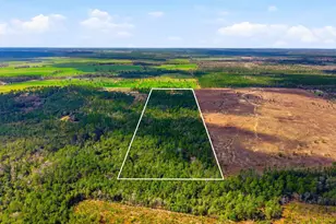 1828 Lewis Rd, Milton, FL 32570 - Photo 47