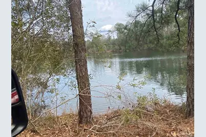 0000 Hwy 4, Jay, FL 32565 - Photo 5