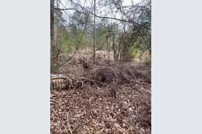 0000 Hwy 4, Jay, FL 32565 - Photo 13