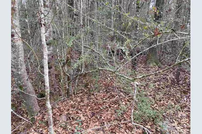 0000 Hwy 4, Jay, FL 32565 - Photo 41