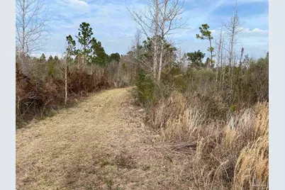 0000 Hwy 4, Jay, FL 32565 - Photo 43