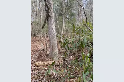 0000 Hwy 4, Jay, FL 32565 - Photo 11