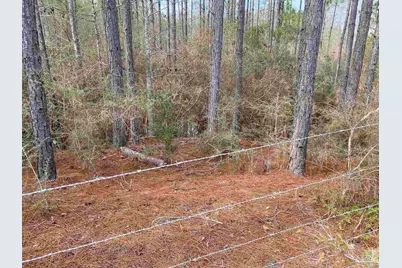 0000 Hwy 4, Jay, FL 32565 - Photo 23