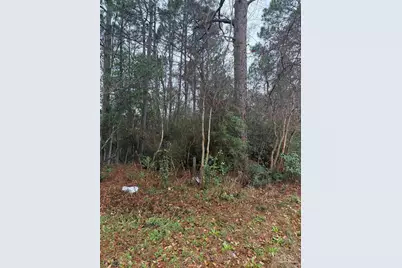 300 Blk Mier Henry Rd, Pensacola, FL 32506 - Photo 1