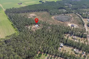 1660 Annie Penton Rd, Jay, FL 32565 - Photo 53