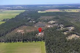 1660 Annie Penton Rd, Jay, FL 32565 - Photo 51