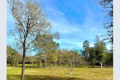 5434 Lilac Ave, Milton, FL 32570 - Photo 25