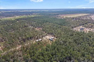 5565 Hwy 178, Milton, FL 32570 - Photo 11