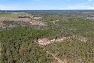 5565 Hwy 178, Milton, FL 32570 - Photo 9