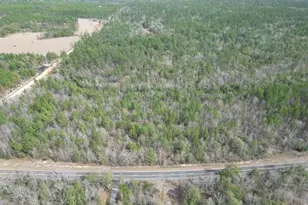 Lot 4 Walling Rd, Milton, FL 32570 - Photo 1