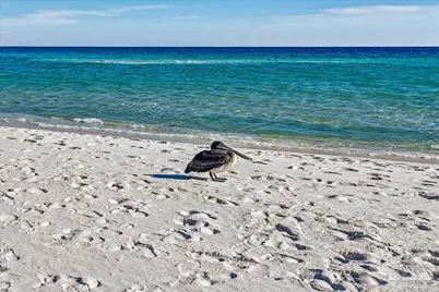 8477 Gulf Blvd #1802, Navarre Beach, FL 32566 - Photo 5