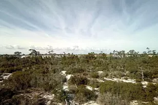 14314 Beach Heather Ct, Pensacola, FL 32507 - Photo 47