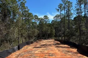 4481 Water Leaf Cove, Gulf Breeze, FL 32563 - Photo 1