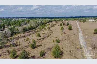 20 Acres Tanner Ridge Rd, Jay, FL 32565 - Photo 17