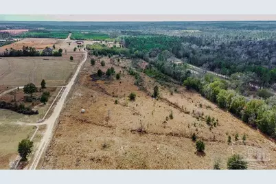 20 Acres Tanner Ridge Rd, Jay, FL 32565 - Photo 13