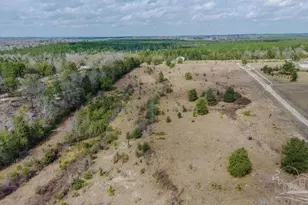 20 Acres Tanner Ridge Rd, Milton, FL 32570 - Photo 1