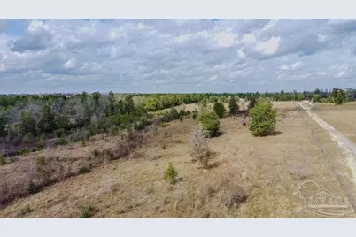 20 Acres Tanner Ridge Rd, Jay, FL 32565 - Photo 9