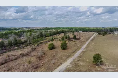 20 Acres Tanner Ridge Rd, Jay, FL 32565 - Photo 19