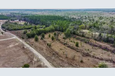 20 Acres Tanner Ridge Rd, Jay, FL 32565 - Photo 11