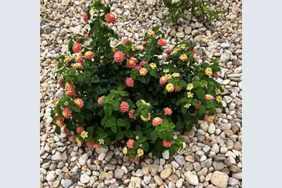 5761 Danbury Blvd, Pace, FL 32571 - Photo 55