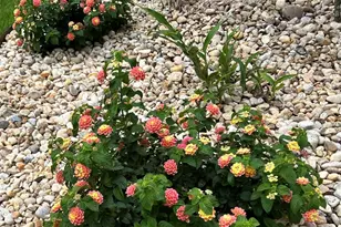 5761 Danbury Blvd, Pace, FL 32571 - Photo 51