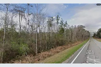 6700 Hwy 99, Molino, FL 32577 - Photo 3