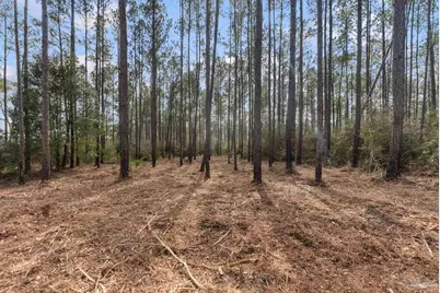 Lot #10 Bermuda Dr, Seminole, AL 36574 - Photo 9