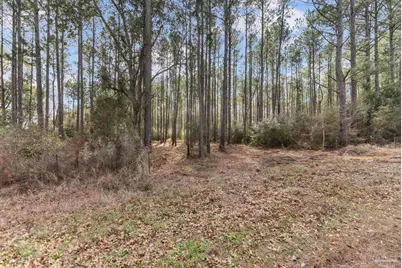 Lot #10 Bermuda Dr, Seminole, AL 36574 - Photo 11