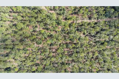 Lot #10 Bermuda Dr, Seminole, AL 36574 - Photo 23