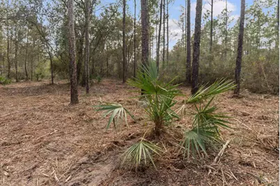 Lot #10 Bermuda Dr, Seminole, AL 36574 - Photo 3