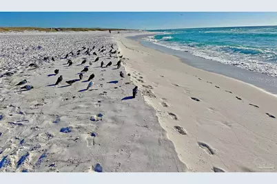 13555 Perdido Key Dr #26cd, Pensacola, FL 32507 - Photo 15