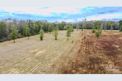 10 Acres Chumuckla Hwy, Pace, FL 32571 - Photo 21
